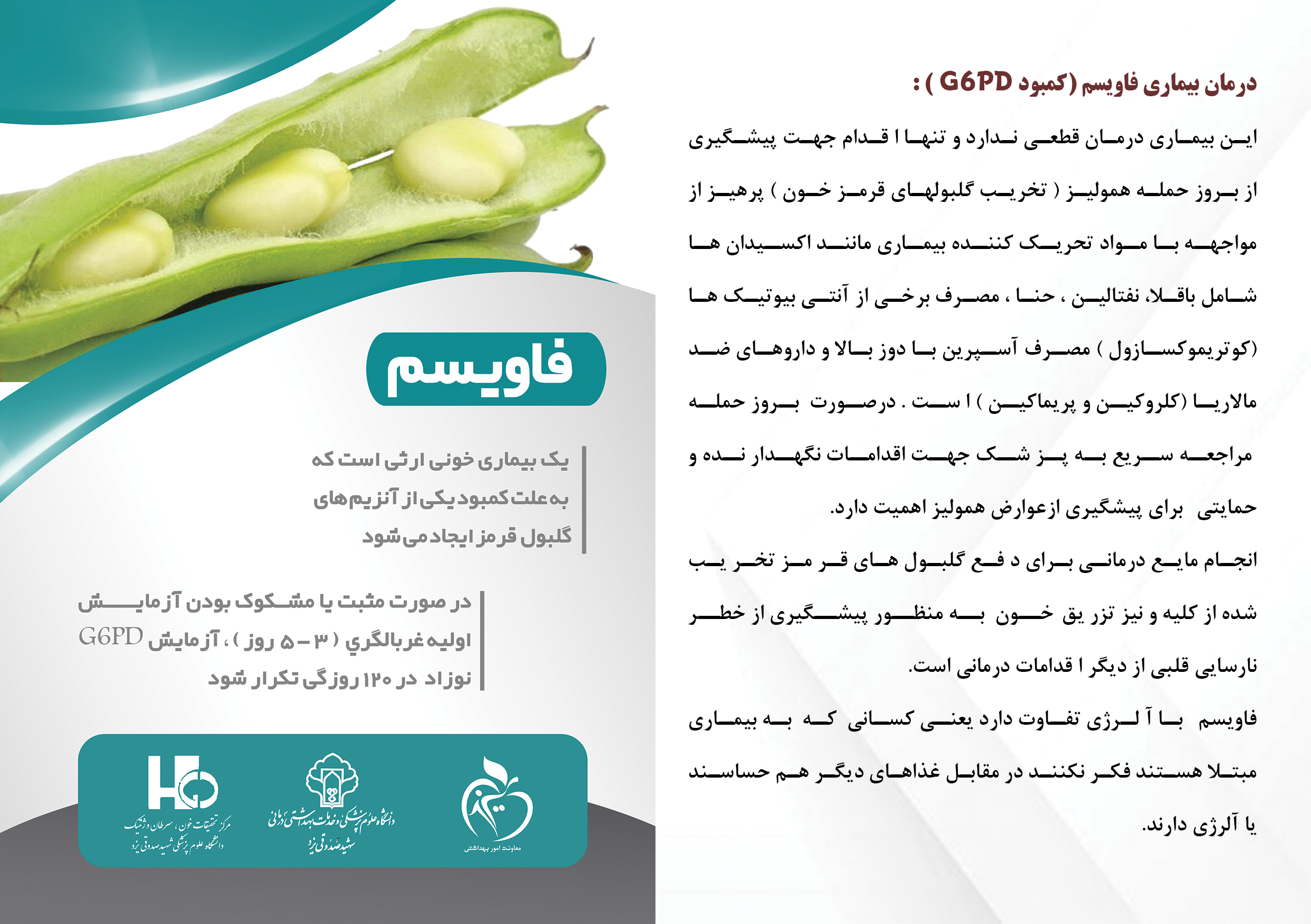 فاویسم11-مجازی